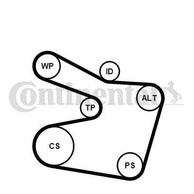 Ribbed belt set for - belt,