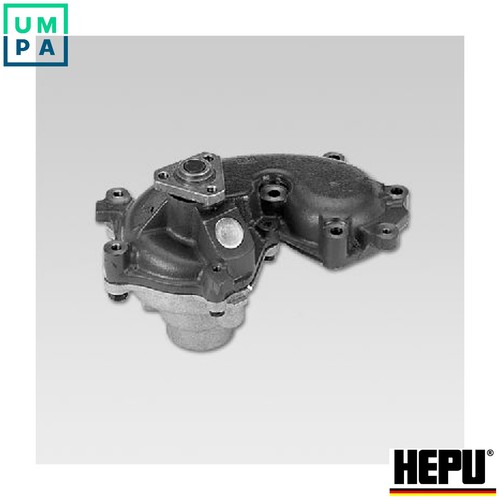 Water pump vribbed belt - pump, +